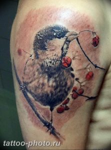 рисунка тату воробей 03.12.2018 №057 - photo tattoo sparrow - tattoo-photo.ru